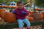 In the Pumpkin Patch (58,907 bytes)